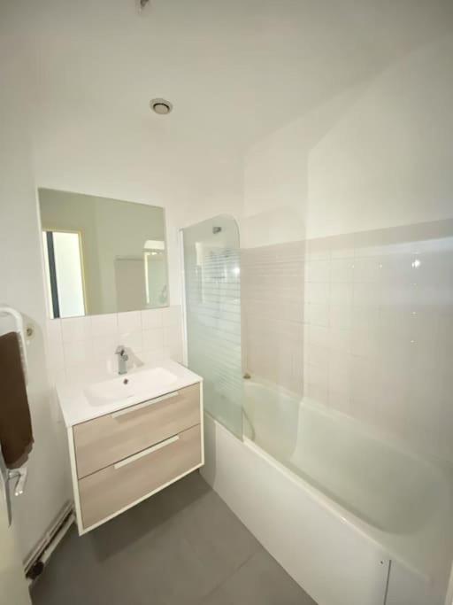 Apartament T2 En Rdc Calme Et Central 5Min A Pieds De La Gare Roanne Zewnętrze zdjęcie